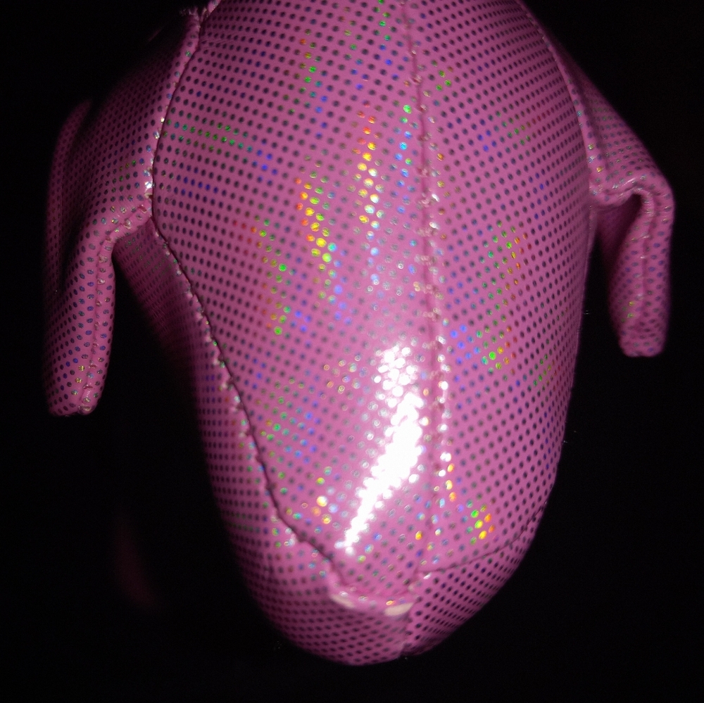 Victorias secret pink dog